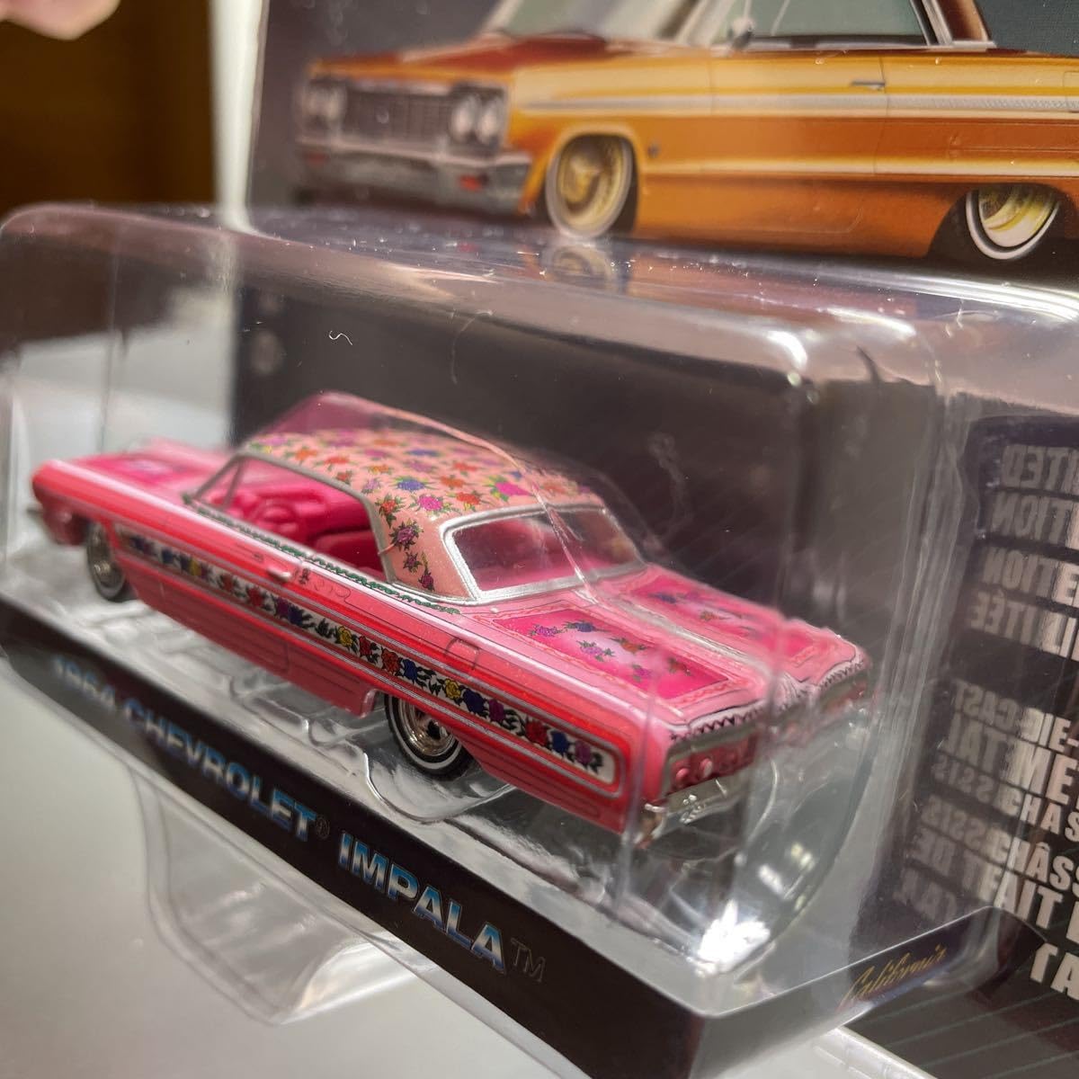 Amazon.co.jp: GREENLIGHT グリーンライト カリフォルニア